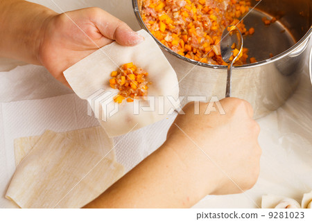 Handmade Chinese dumplings 9281023