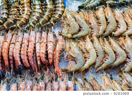 Fresh assorted prawn 9281069