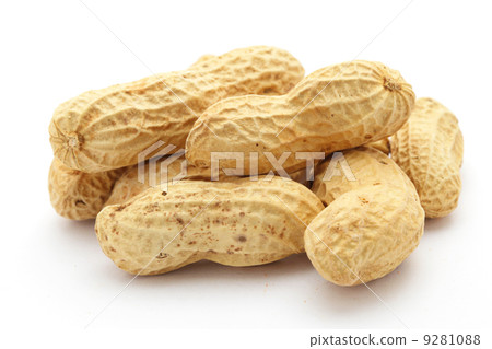 peanut 9281088