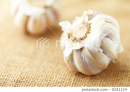 garlic 9281124