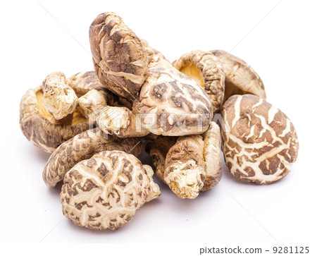 Shiitake isolated on white 9281125