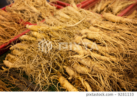 Ginseng for sell in food market 9281133