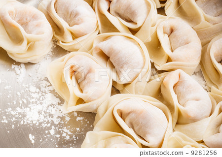 Homemade dumpling Homemade dumpling 9281256