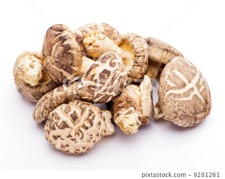 Dried shiitake isolated on white 9281261