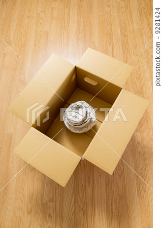 Parcel delivery 9281424