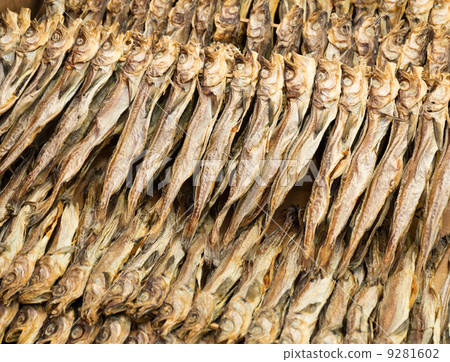Traditional salty fish Traditional salty fish 9281602