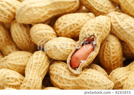 Dried peanut 9281655