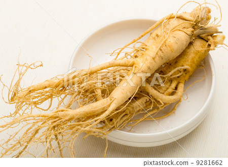 Fresh Ginseng 9281662