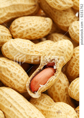 peanut 9281762