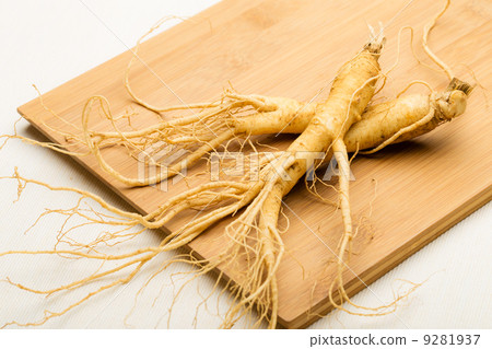 Ginseng Ginseng 9281937