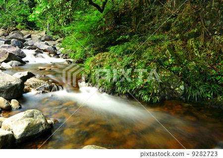 fresh stream in forest 9282723