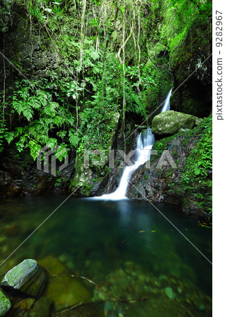 cascade in forest 9282967