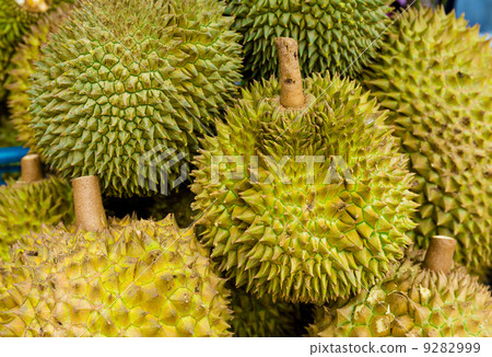 Durian 9282999