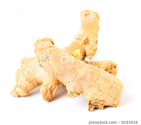 Ginger Ginger 9283016