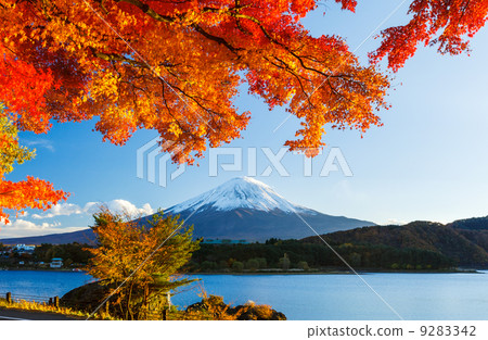 Mt. Fuji in autumn Mt. Fuji in autumn 9283342