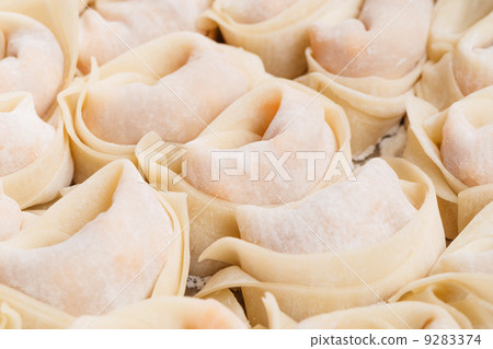 Chinese dumpling 9283374