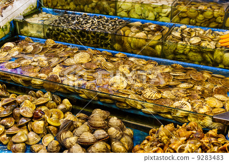 Seafood market fish tank Seafood market fish tank 9283483