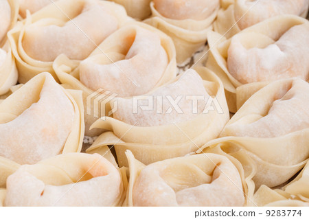 Chinese dumpling 9283774