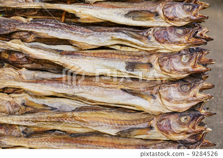Pile of Dry salt fish Pile of Dry salt fish 9284526