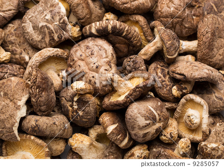 Dried mushrooms Dried mushrooms 9285057