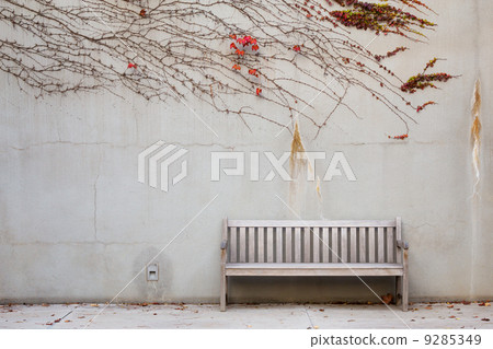 Relaxation with bench in garden Relaxation with bench in garden 9285349