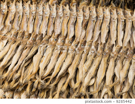 Dry salty fish Dry salty fish 9285442