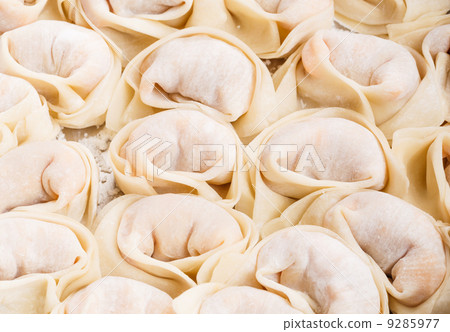 Homemade dumpling Homemade dumpling 9285977