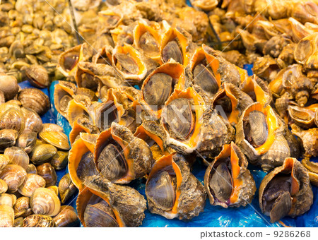 Seafood in food market 9286268