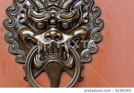 lion door lock 9286269