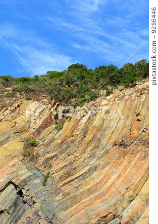 Hong Kong Geo Park , hexagonal column Hong Kong Geo Park , hexagonal column 9286446