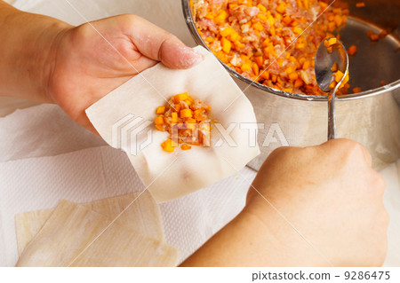Wrapping of Chinese dumpling 9286475