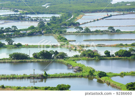 Fish Hatchery Pond 9286660
