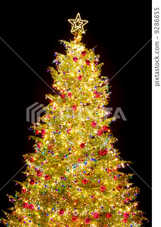 Christmas tree with decoration 9286855
