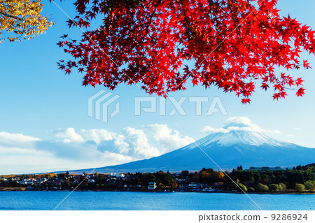 Mt. Fuji in autumn 9286924