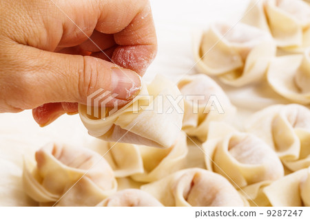 Homemade chinese dumpling 9287247