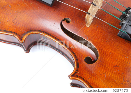 violin violin 9287473