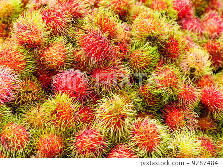 Rambutan fruit Rambutan fruit 9287484