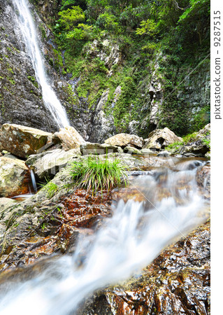 waterfall in forest waterfall in forest 9287515