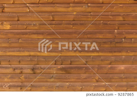 Bamboo texture 9287865