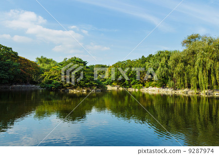 Wetland 9287974
