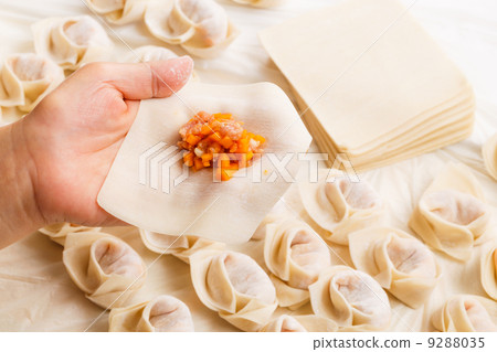 Making of Chinese dumpling 9288035