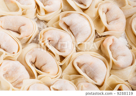 Traditional chinese dumpling Traditional chinese dumpling 9288119