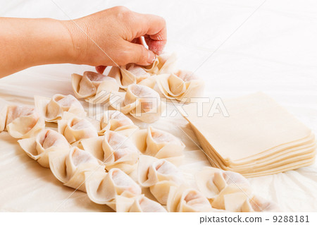 Making of Chinese dumpling 9288181
