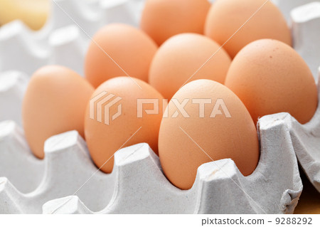 eggs in package 9288292