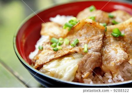 pork with rice 9288322