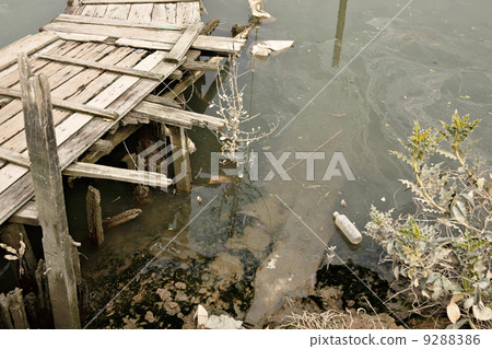 water pollution in river water pollution in river 9288386