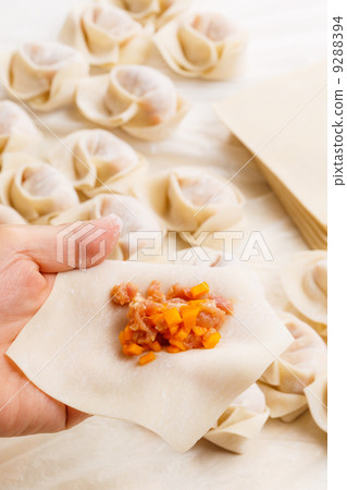 Making of Chinese dumpling 9288394