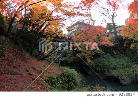 Yamanaka Onsen Crane tunnel 9288824