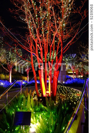 照明 照明 9289068