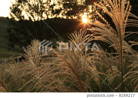 托峰高原 托峰高原 9289217
